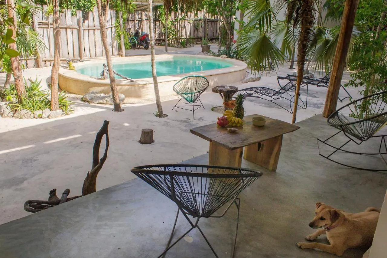 Buena Onda Residence Tulum Mexico