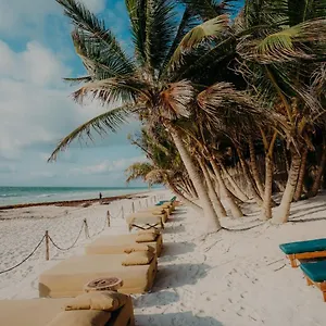 https://ether-tulum.allrivieramayahotels.com