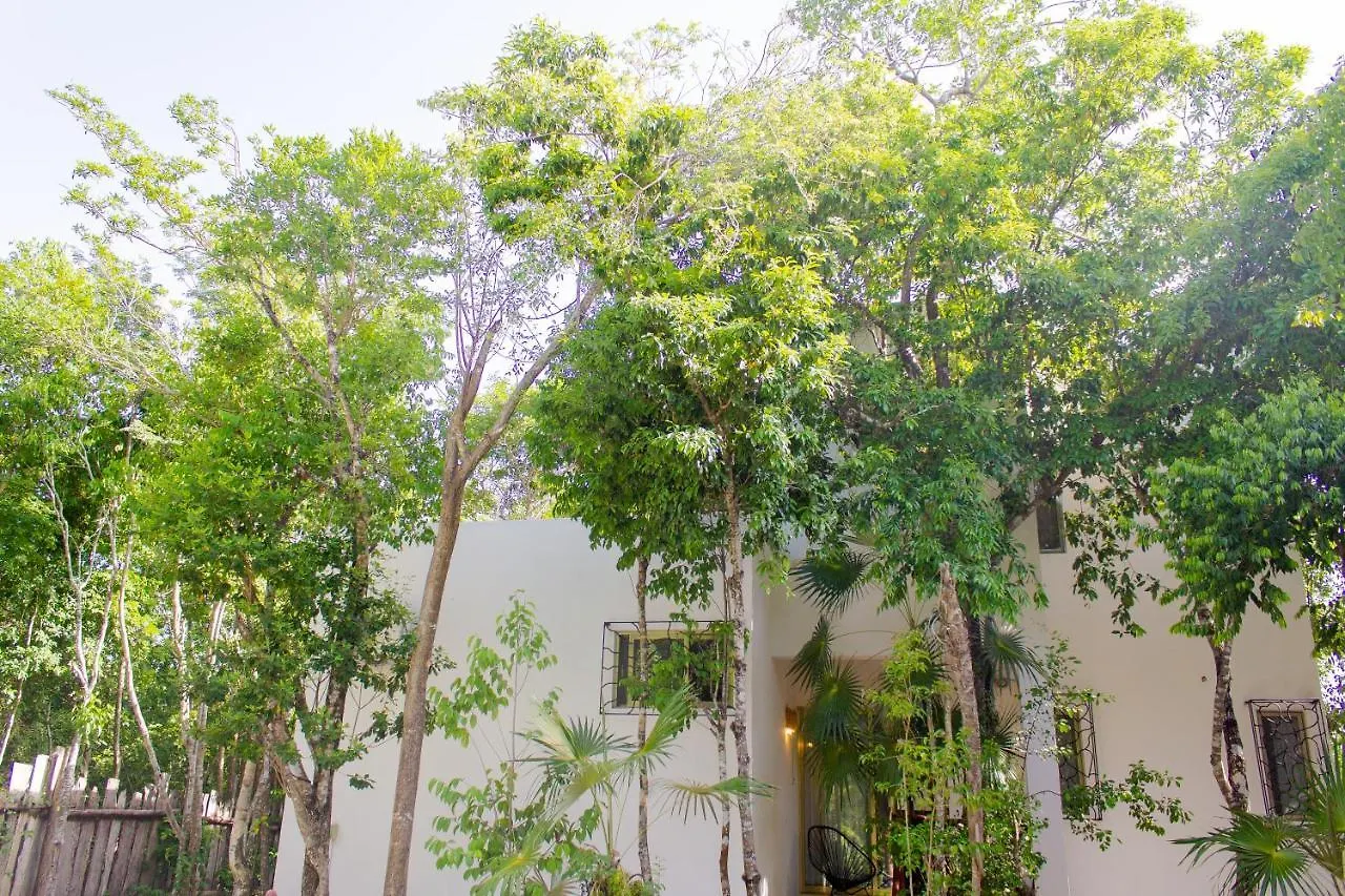 Buena Onda Residence Tulum Mexiko
